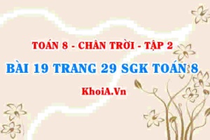 Bài 19 trang 29 Toán 8 Chân trời sáng tạo Tập 2